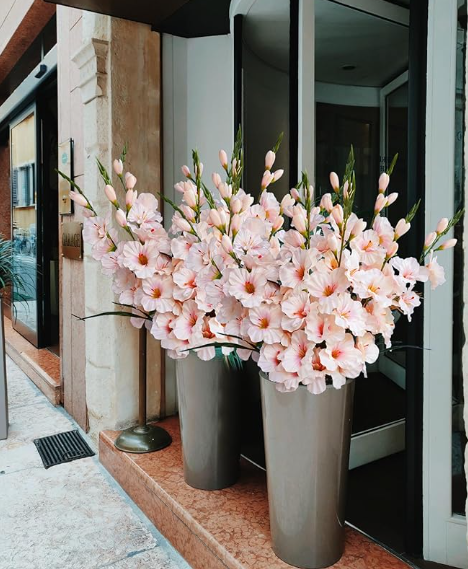 8월탄생화글라디올러스