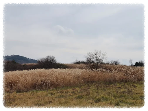 최정산