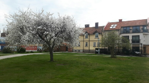 Klaipėda