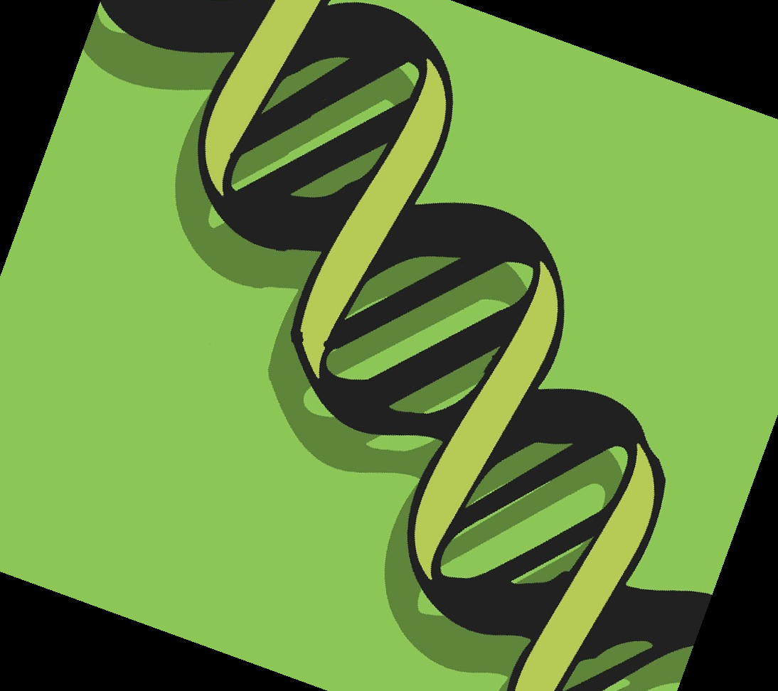 콘쥬란 주사 가격