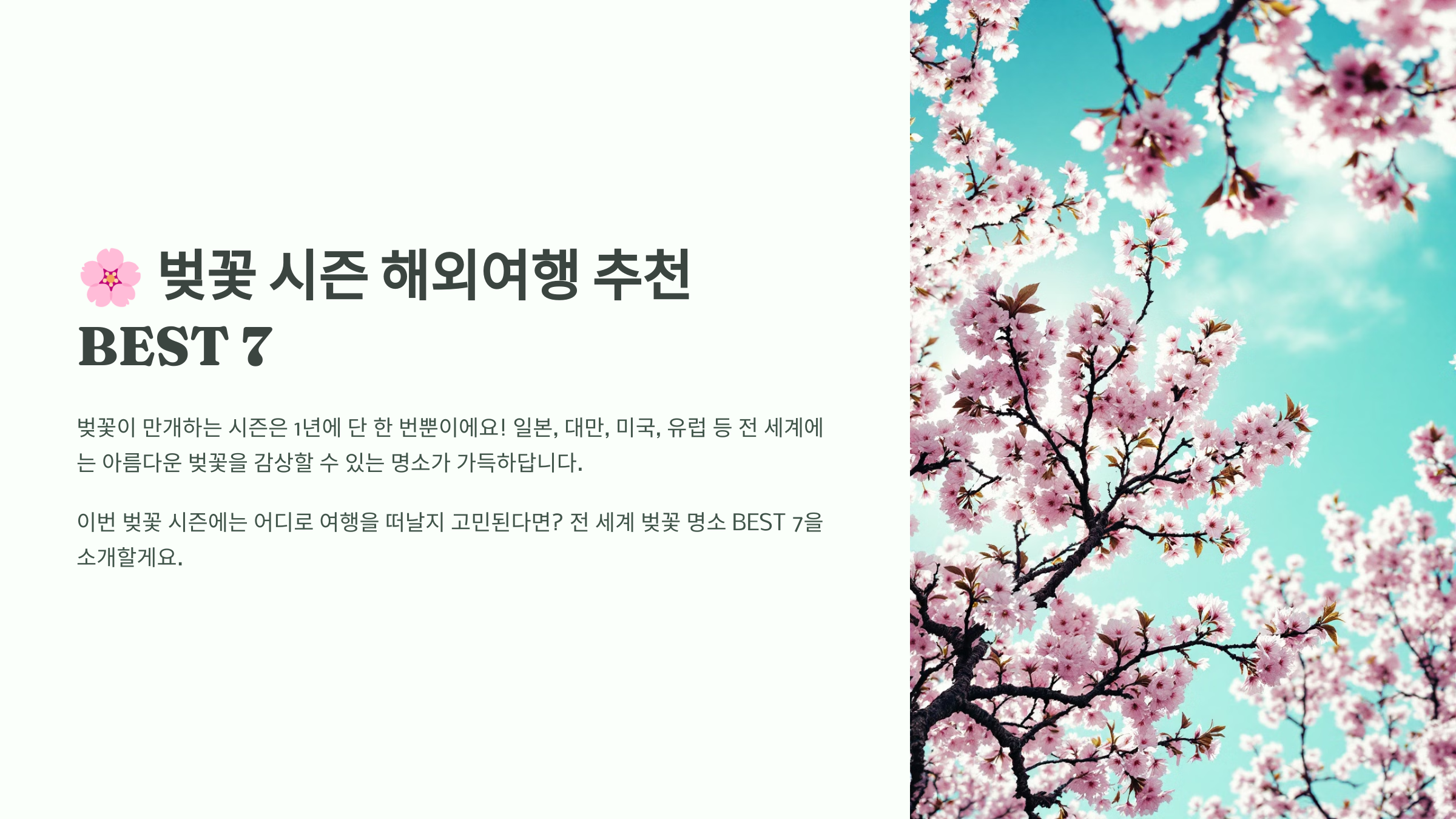 벚꽃 시즌 해외여행 추천 BEST 7