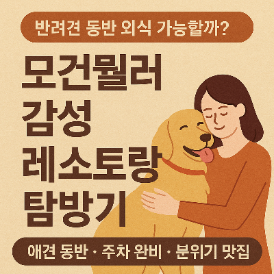 반려견이랑 외식? 모건뭘러는 다릅니다! 분위기, 주차, 감성까지 갖춘 레스토랑