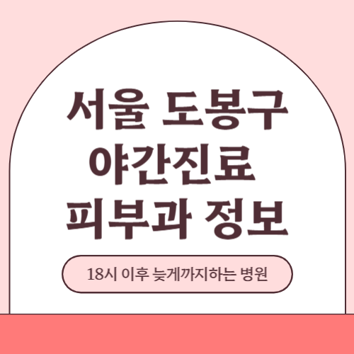 서울 도봉구 야간진료 피부과 병원 (18시 이후 늦게까지하는 병원)