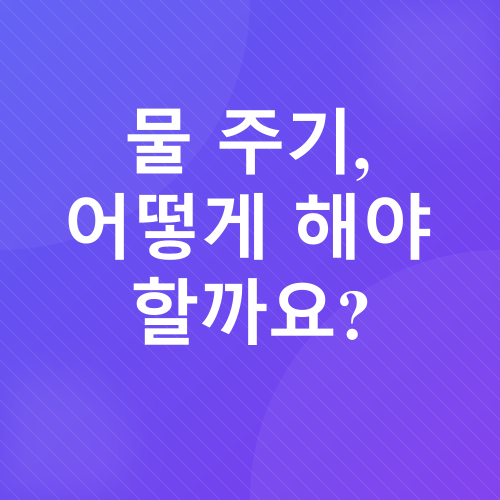 벤자민나무 관리_2