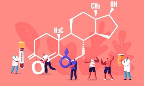 테스토스테론 수치