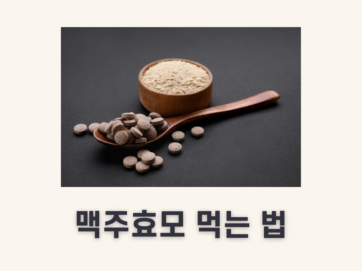 맥주 효모 먹는 법