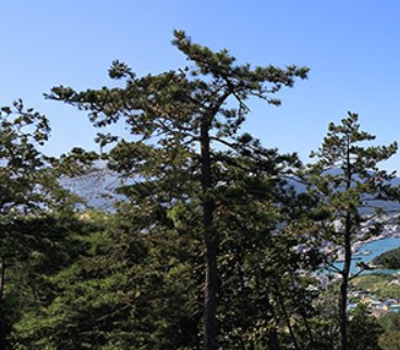 완도여객선터미널 제주 배편 예약과 시간표 및 운임요금 및 주차요금 관련사진