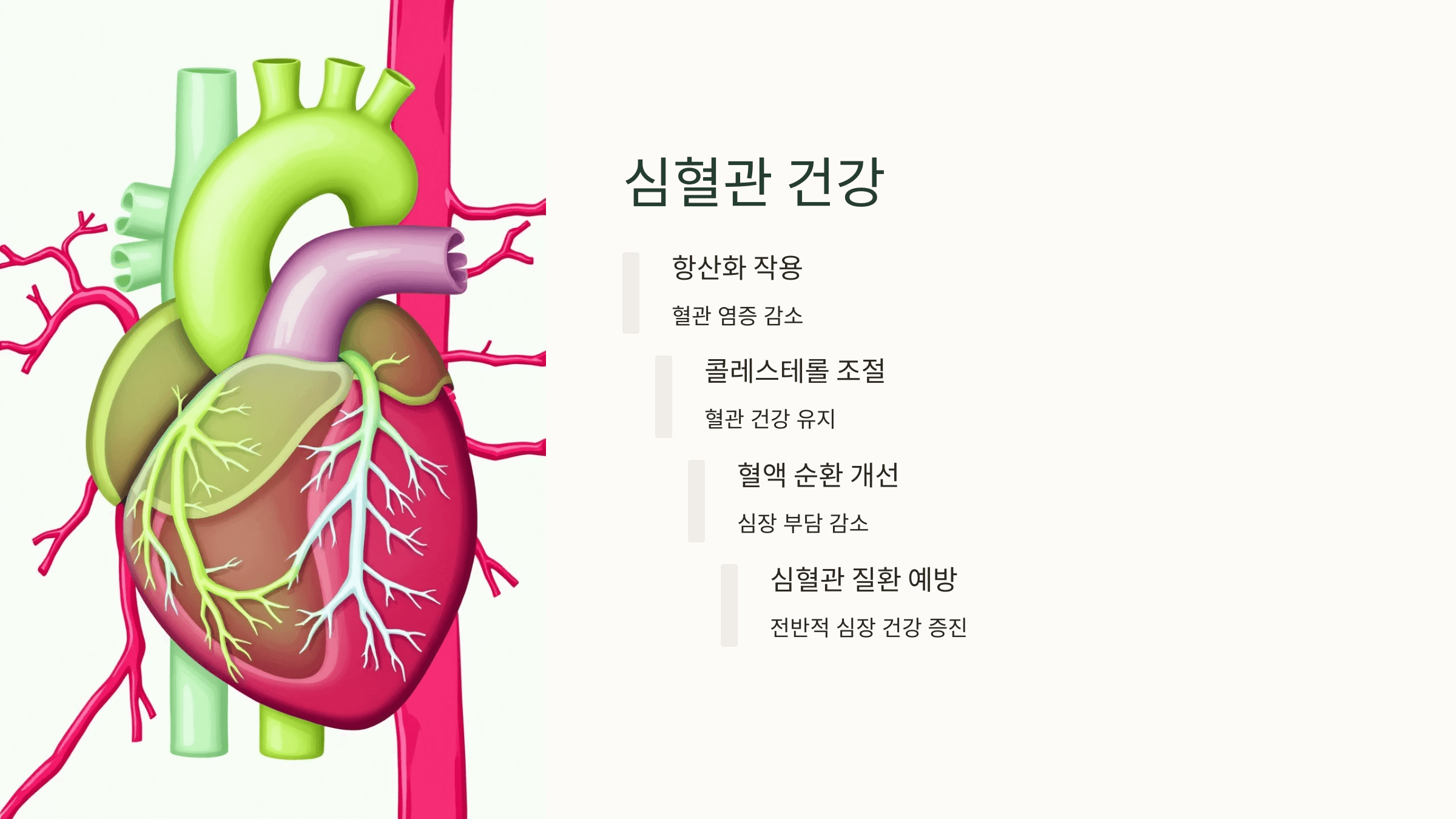 양배추 사진입니다.