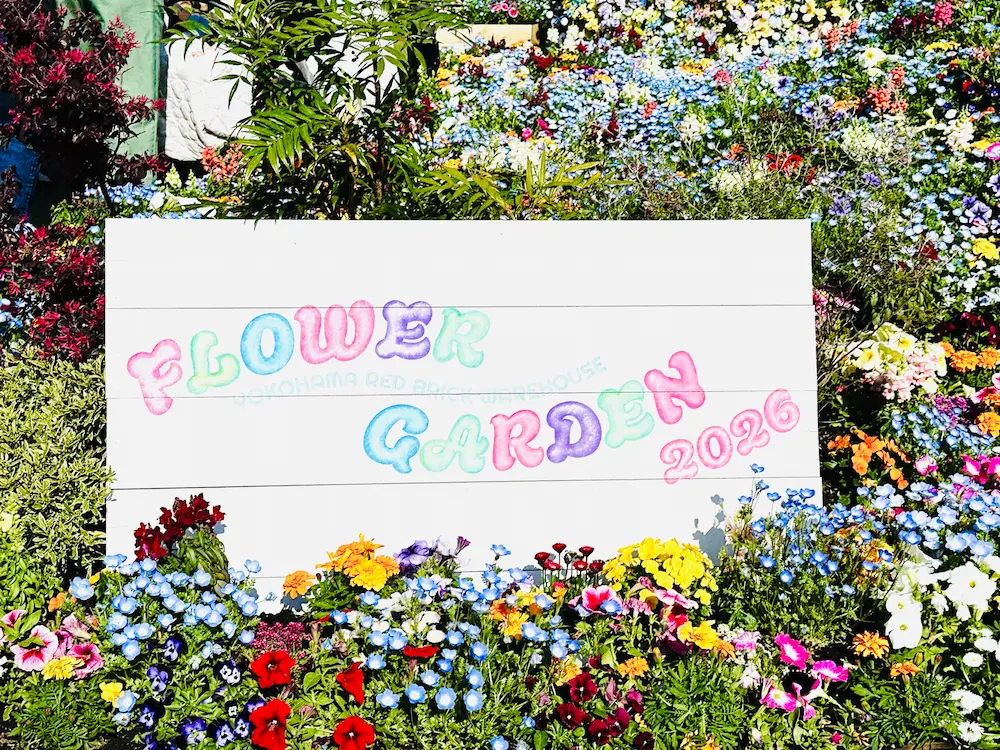 플라워 가든 간판과 꽃들 사진