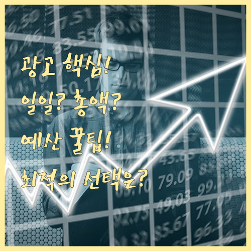 당근마켓 지역광고 예산 유형 비교 일..