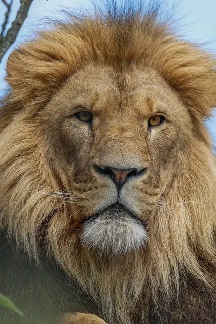 라이언 일병 구하기 업햄 복수 장면 분석과 전쟁 윤리 고찰_4