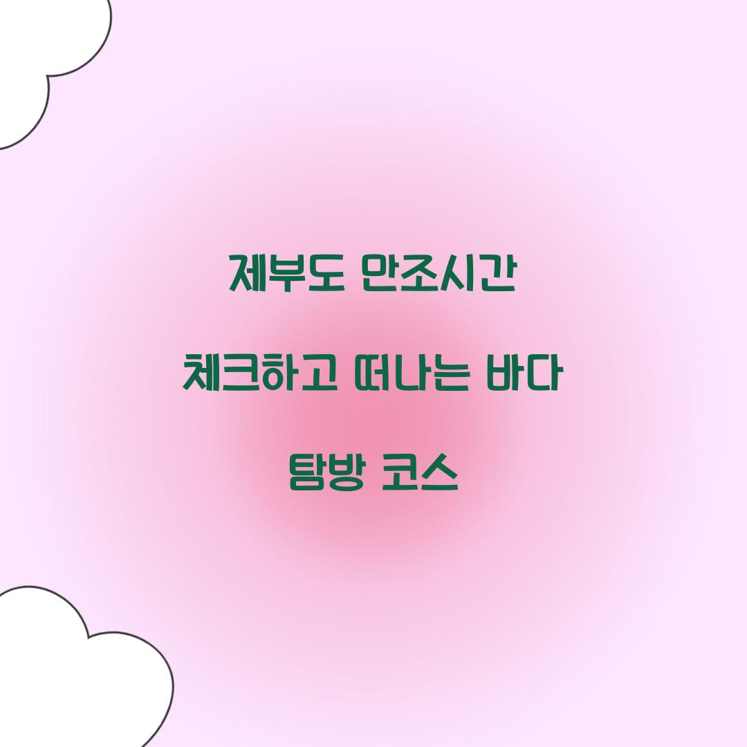 제부도 만조시간