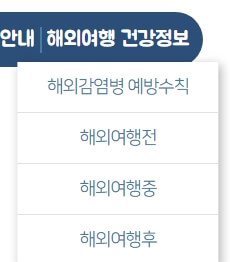 해외 감염병 예방 정보 조회
