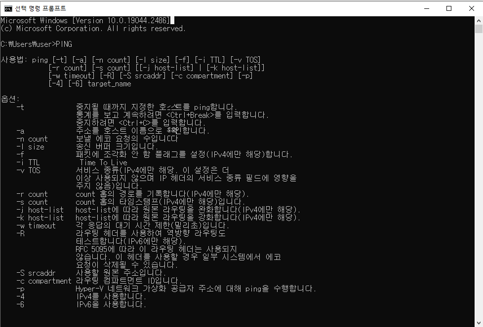핑 테스트 방법2
