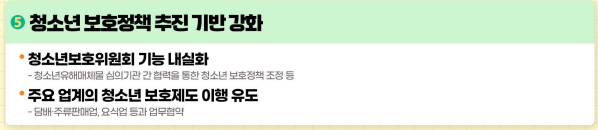 청소년보호종합대책