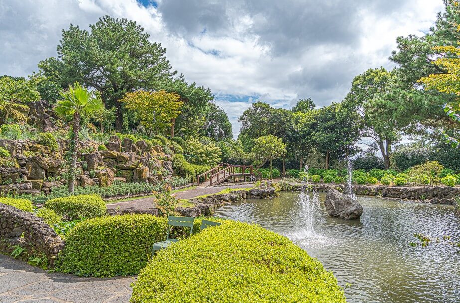 2025년 휴애리 봄 수국축제 완벽 가이드 : 오색빛깔 아름다운 수국 축제!!