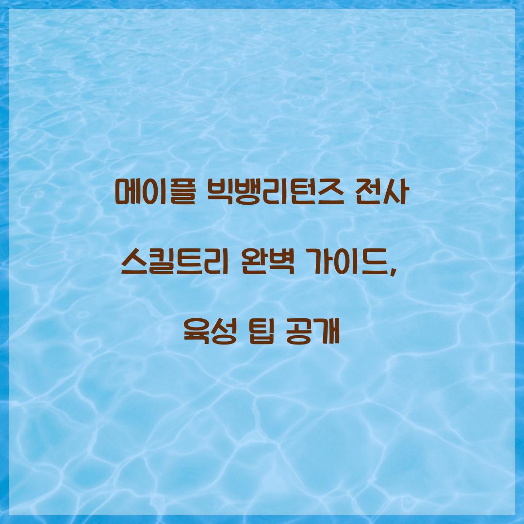 메이플 빅뱅리턴즈 전사 스킬트리