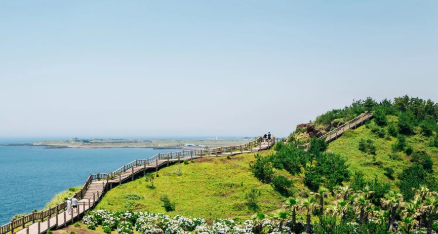 제주도 해안선 산책로