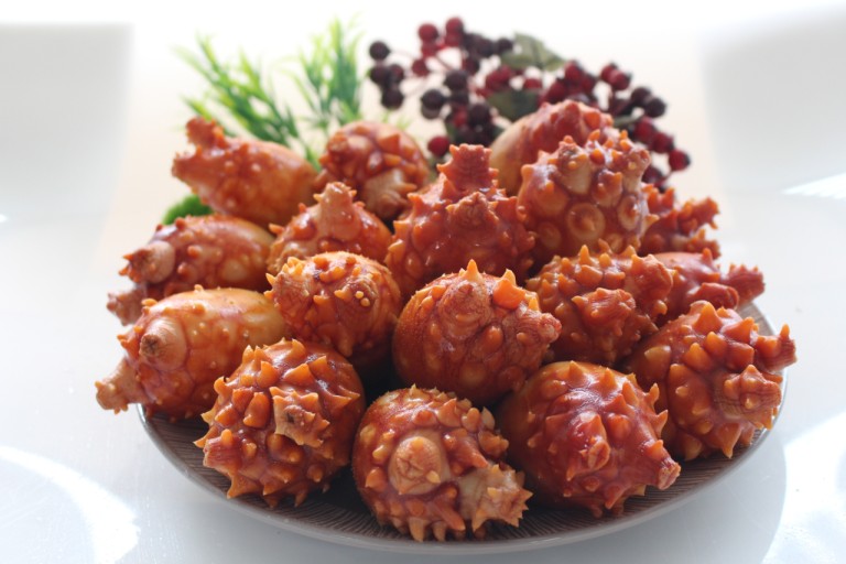 5월 재철음식 멍개