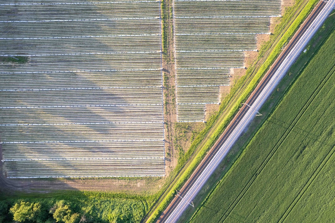 Agricultural Management