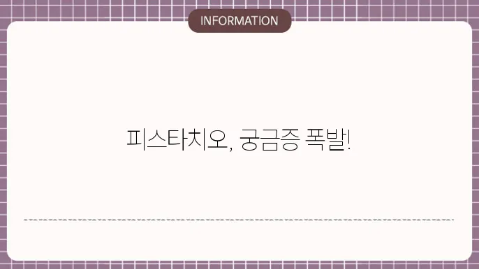 피스타치오의 특징을 요약하다