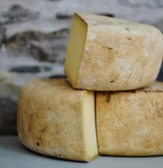 골다공증에 좋은 음식 예방 식단