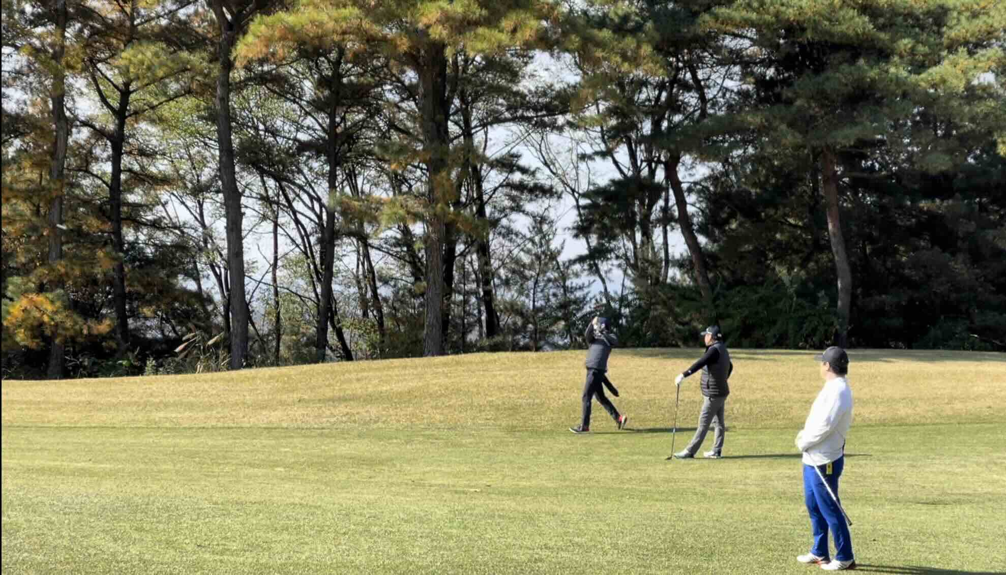 골프 라운딩