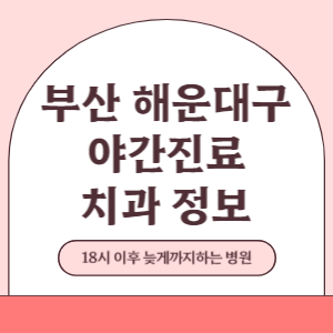 부산 해운대구 야간진료 치과 병원 (18시 이후 늦게까지하는 병원)