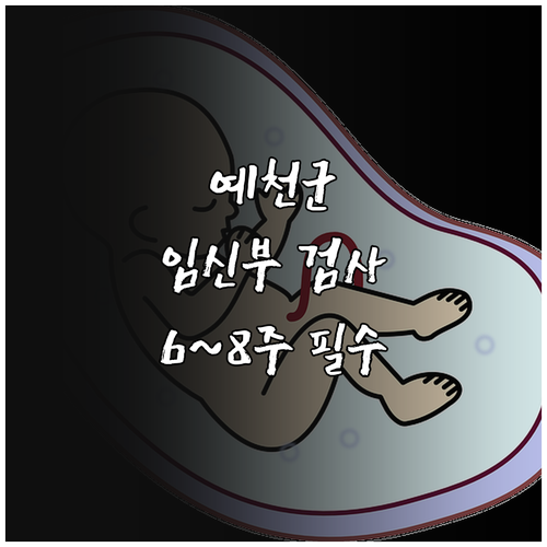 2025 예천군 임신부 산전검사 지원..