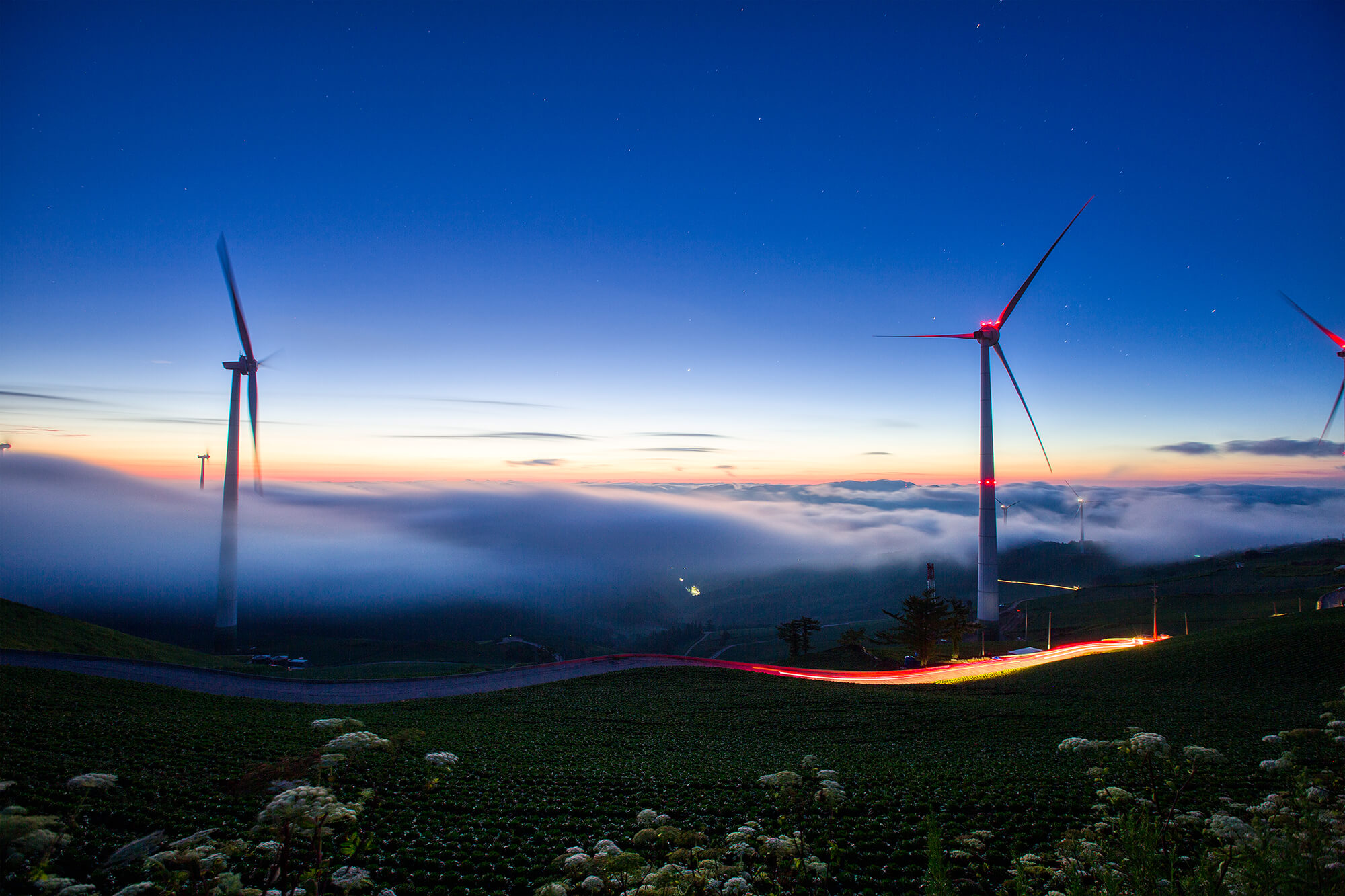 태택 매봉산 바람의언덕 일출