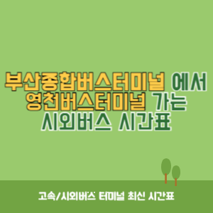 부산종합버스터미널에서 영천버스터미널 가는 시외버스 시간표 최신정보