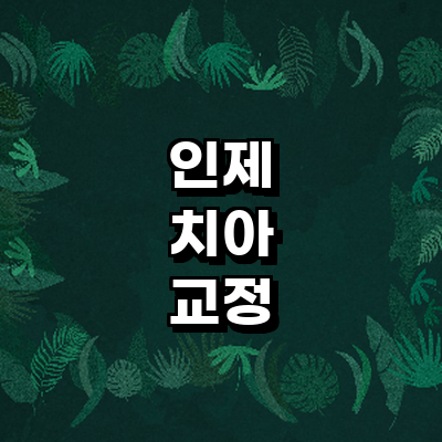 인제군 교정 치과