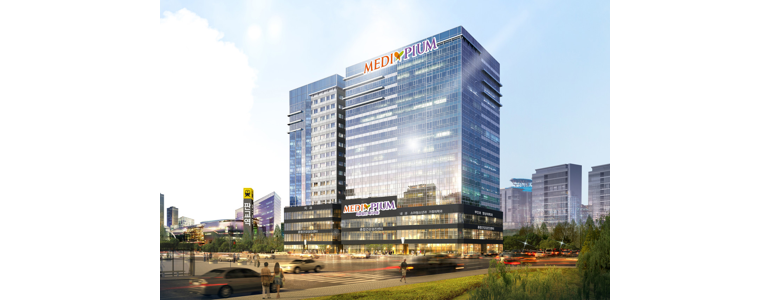 성남 분당구 고지혈증