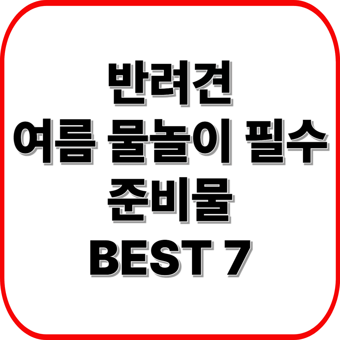 반려견 여름 물놀이 필수 준비물 BEST 7 ❘ 안전하게 시원하게 노는 방법 총정리