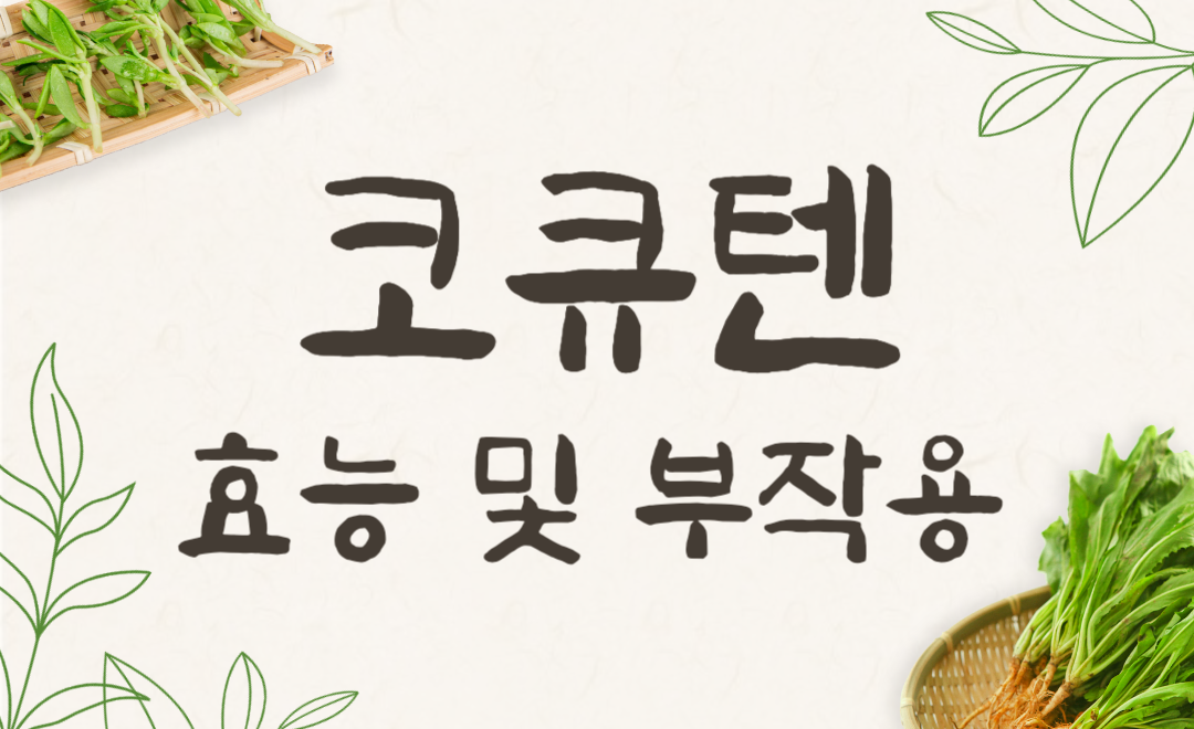 코엔자임Q10 vs 코큐텐 차이점은? 효능·부작용 완벽 비교