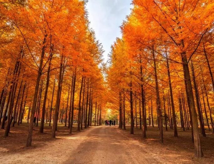 가을 단풍 명소 추천