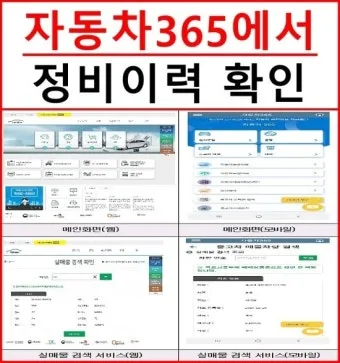자동차365 홈페이지 이용법 차량 등록 말소 이전 방법_8