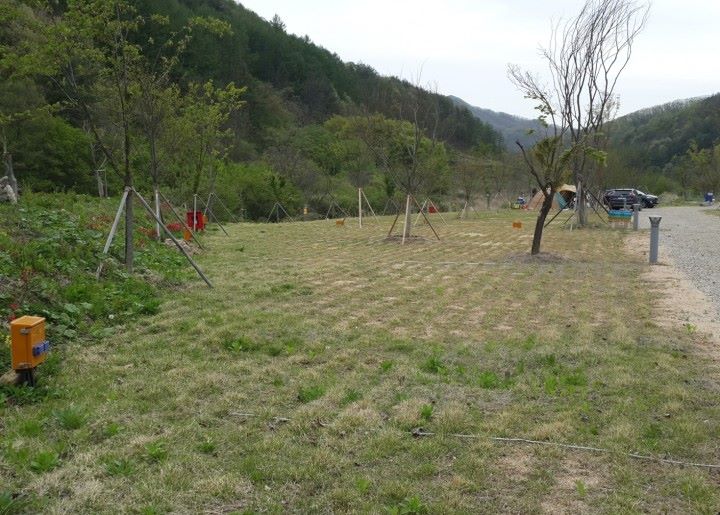 물한계곡핏들캠핑장_사이트