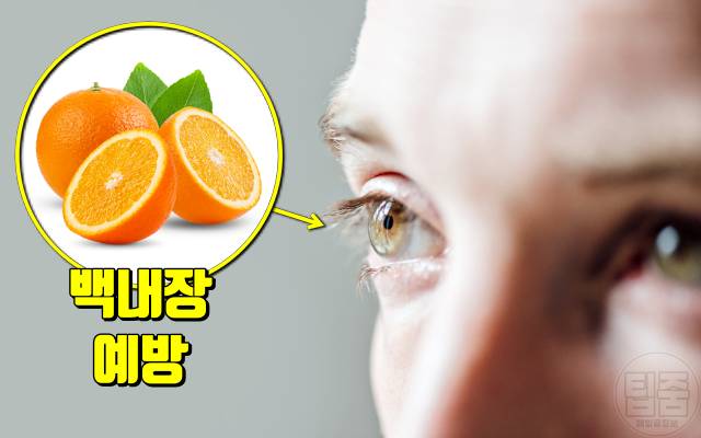 오렌지 매일 먹으면 오렌지효능 시력 눈