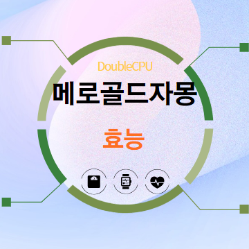메로골드자몽 효능 탐구