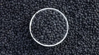 서리태 효능 먹는법 영양성분_2