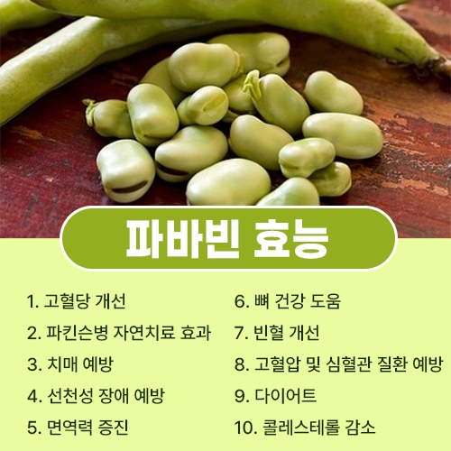 파바빈 효능