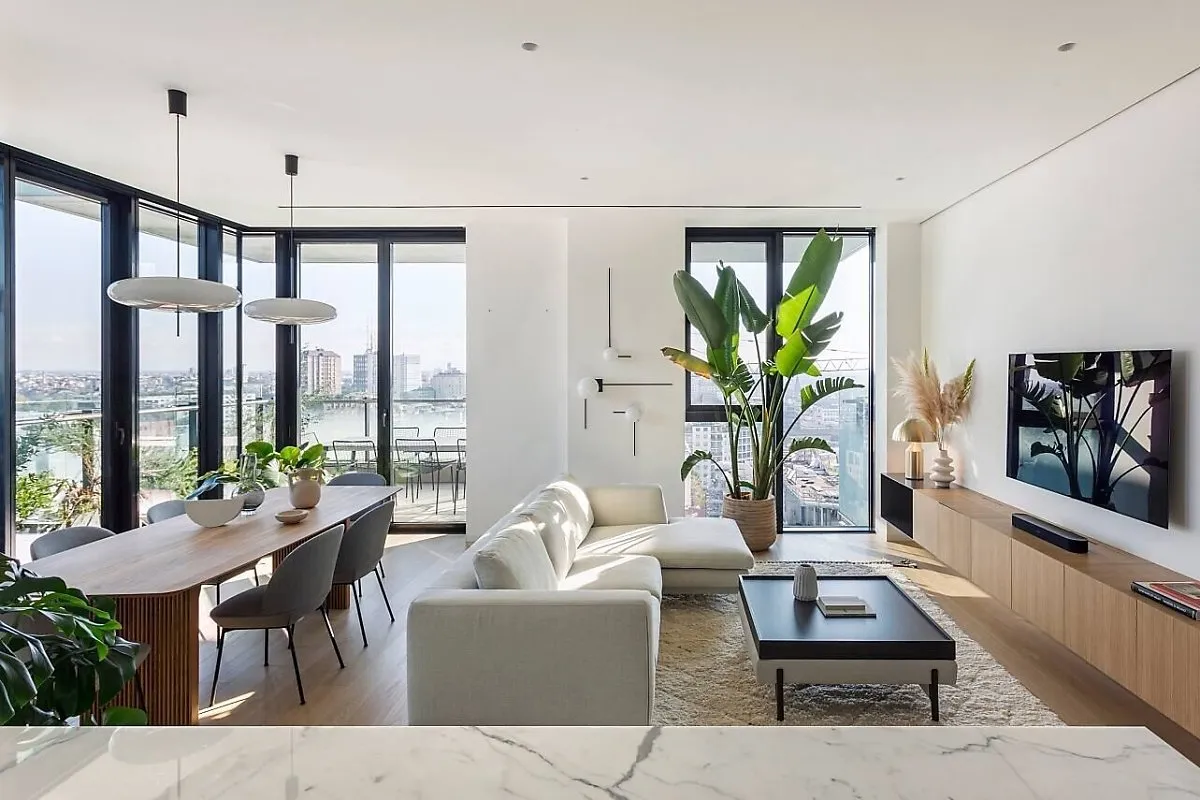 플랜테리어 거실 식물배치 물주기 습도관리 초보 인테리어 팁_3