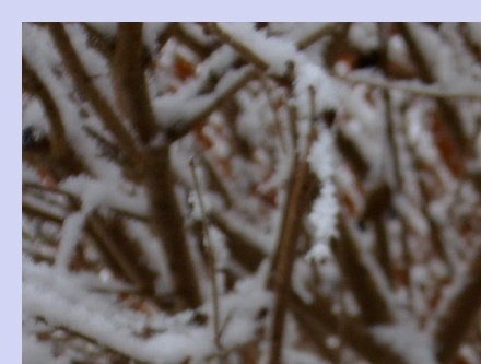 대상포진 초기증상