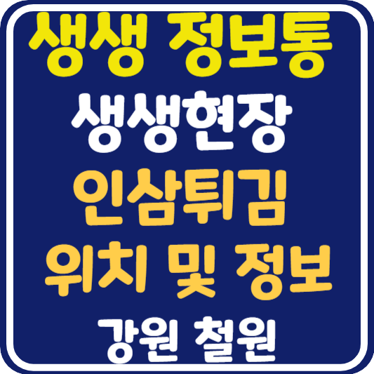 생생 정보통 철원 인삼튀김 카페 위치 및 정보 : 생생현장