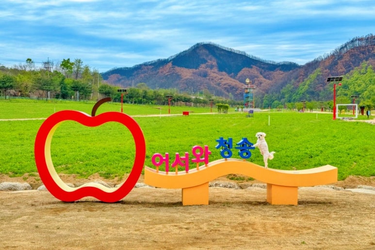 청송 가볼만한곳