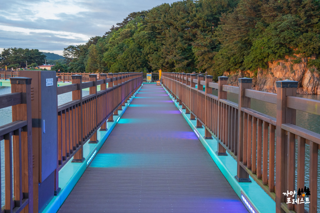 궁평항 낙조길 산책로