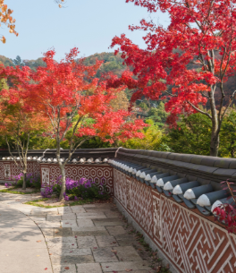 화담숲 예약 모노레일 예약 관람방법
