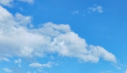 대학 가이드북 활용방법