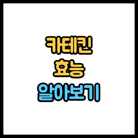 카테킨 효능 부작용 - 카테킨이 풍부한 국내산 녹차